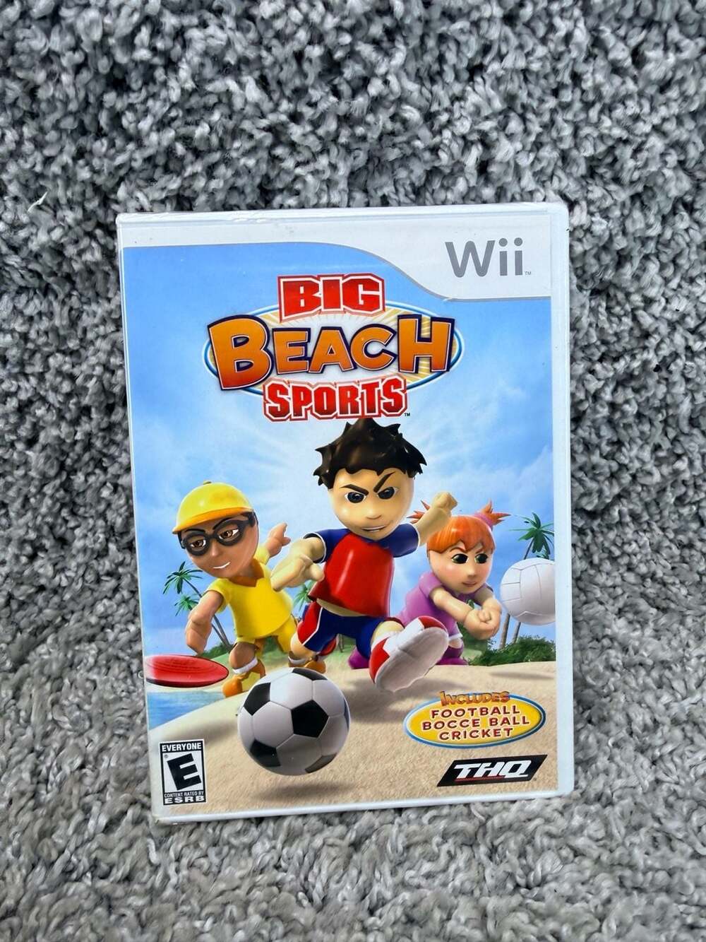 Big Beach Sports Nintendo Wii Video Game